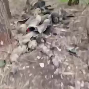 Ukraine war combat footage 12/18/24