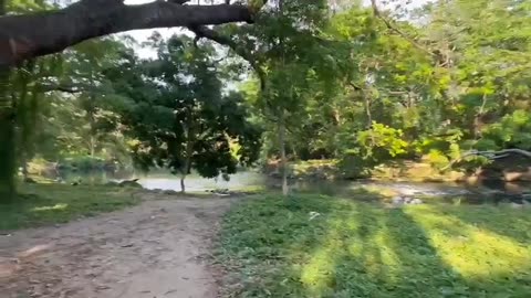 Cuba is a strange place.