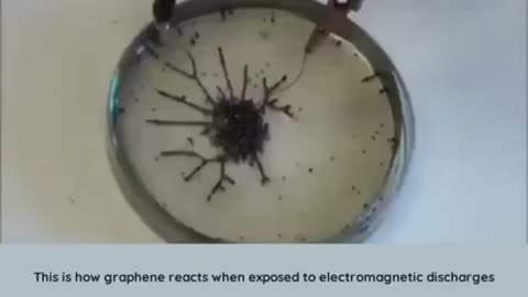 Graphene reacts