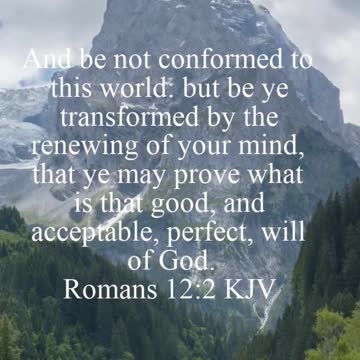 Daily Bible Verse - 12/8/2022