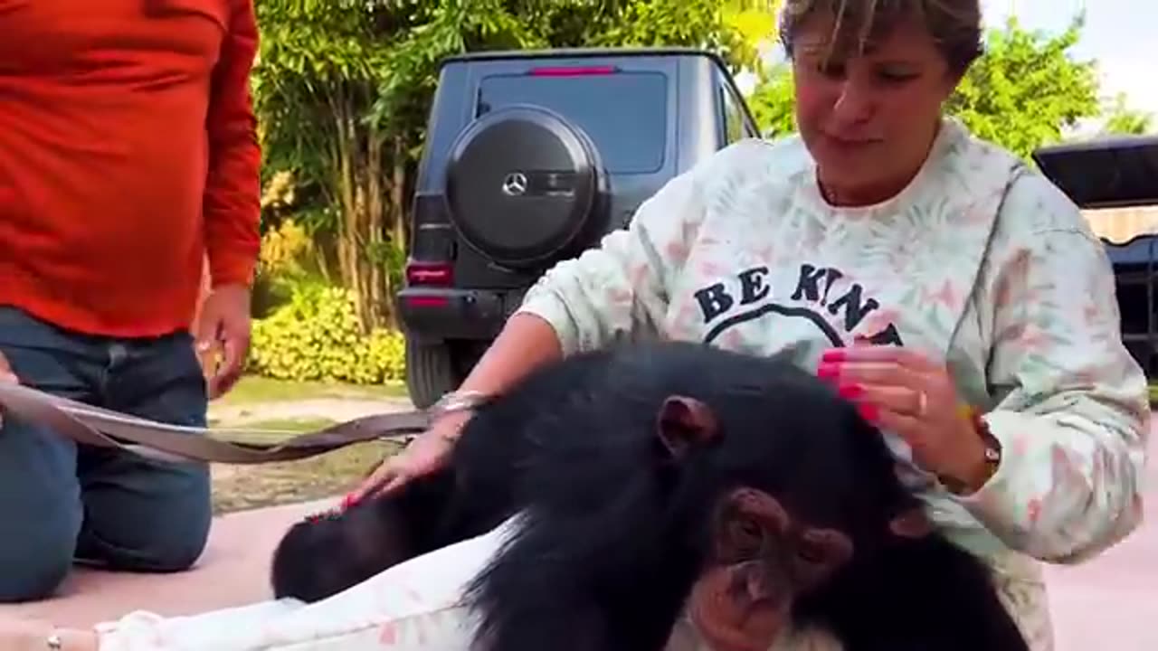 Animals Reunited With Owners After Years