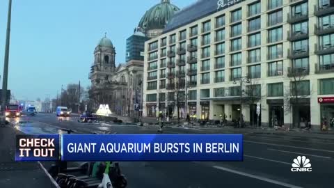 Giant aquarium with nearly 1,500 exotic fish bursts in Berlin