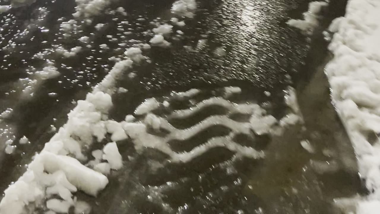 First Snow of 2024 Detroit