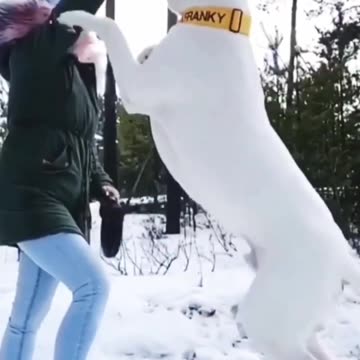 HULK DOG WHITE PITBULL DOG.