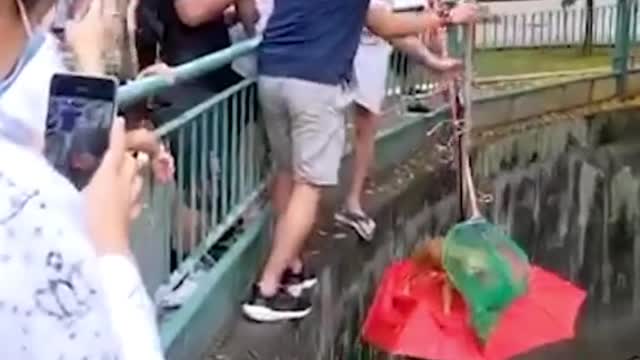 Jalan Besar residentshoist cat out of canal with umbrella contraption