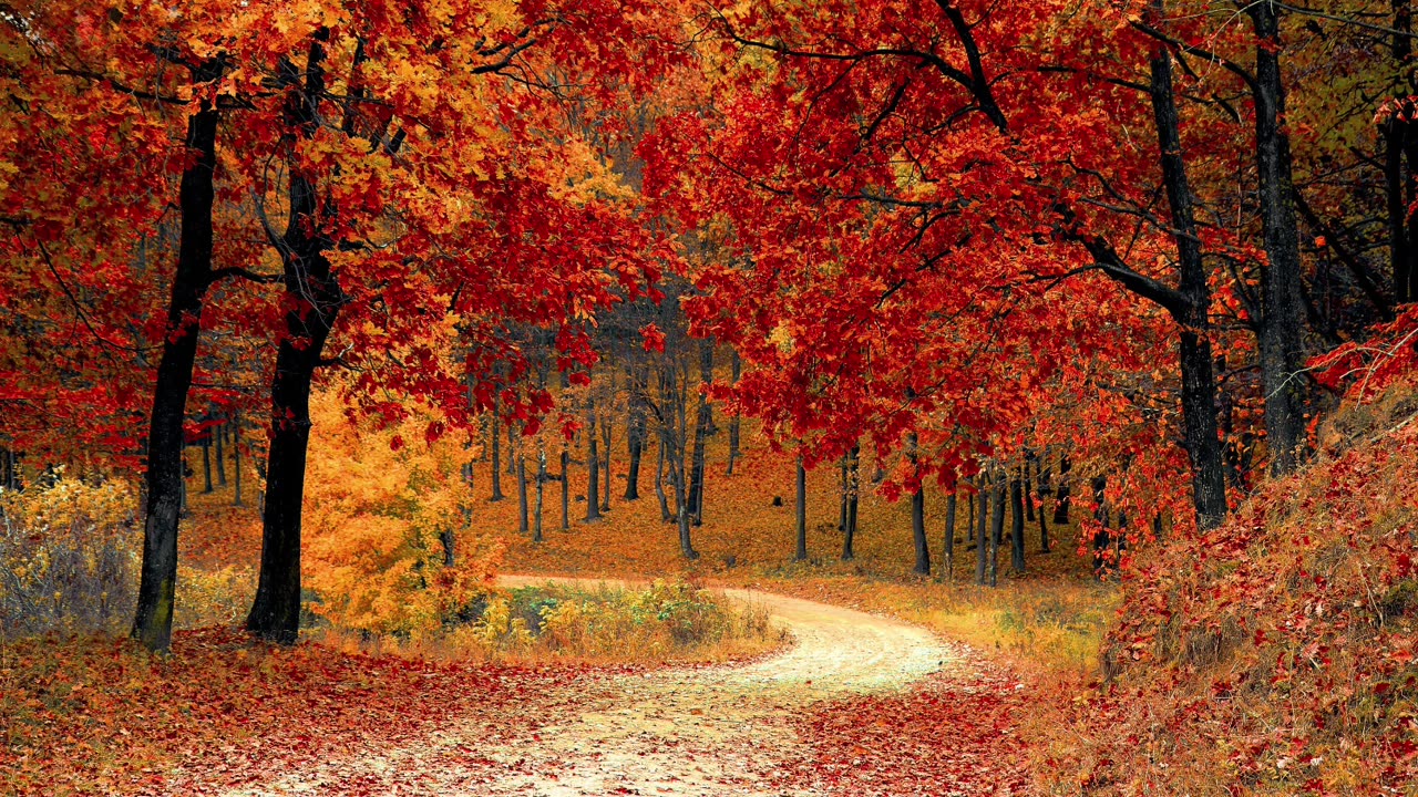 Autumn Sky Meditation