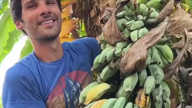 Have you ever seen a seeded banana๐๐๐
