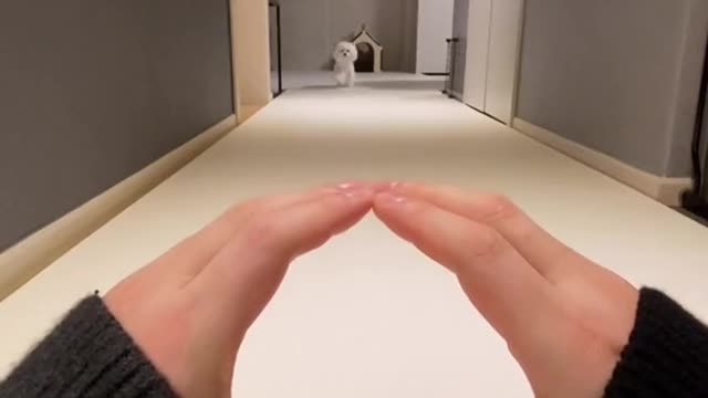 Ara Woah #woah #woahchallenge #foryou #fyp #meme #이아라 #틱톡 #tiktok