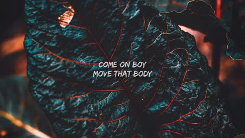 Lyrics videos: Serena Safari English subtitles Remixing