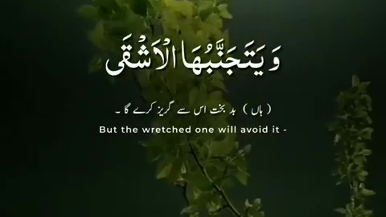 Qari abdurehman masooad