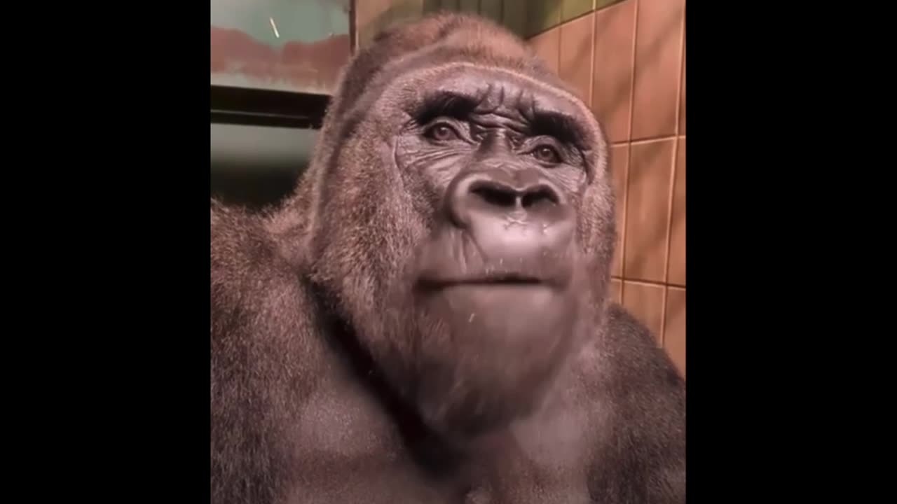 Random Memes 644