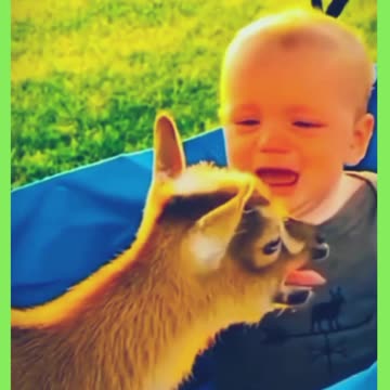 Fnny baby kids 🤗😂🙈 #funny #baby #funnykids #shorts