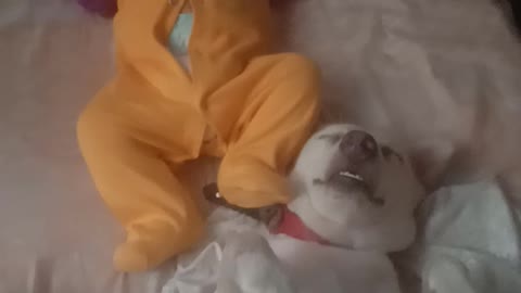 Baby Kicks Don't Bother Sleeping Dog