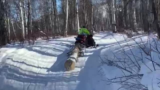 Back country alaska