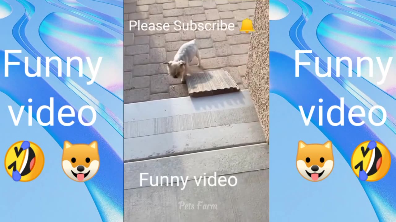 Funny videos part 17