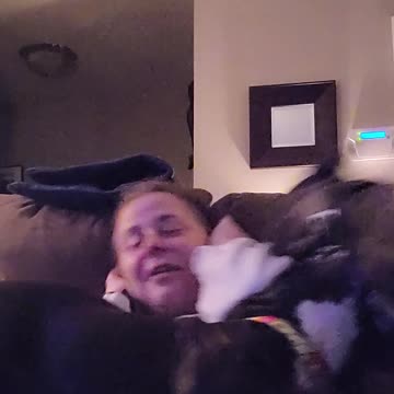 Attacked by kisses! Is this love or what? Hysterical dogs!