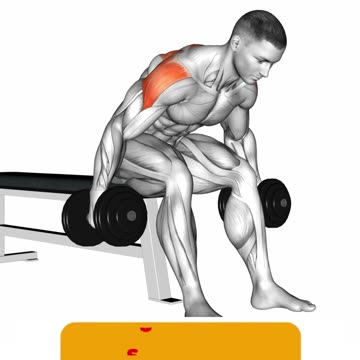 Unlock Shoulder Power #shoulderexercises #fitnessgoals #strengthtraining #sculptedshoulders #shorts