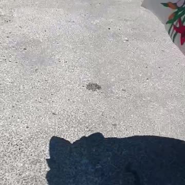 ΟΜΑΔΑ ΟΠΚΕ ΔΥΤΙΚΗΣ ΑΤΤΙΚΗΣ - ΑΠΕΓΚΛΩΒΙΣΜΟΙ ΚΑΙ ΔΙΑΣΩΣΕΙΣ ΒΙΝΤΕΟ 3