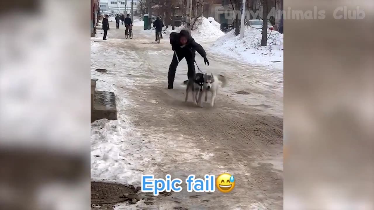 Funny Animals Videos 2023 π - Funniest Dogs And Cats Videos πΊπ#1