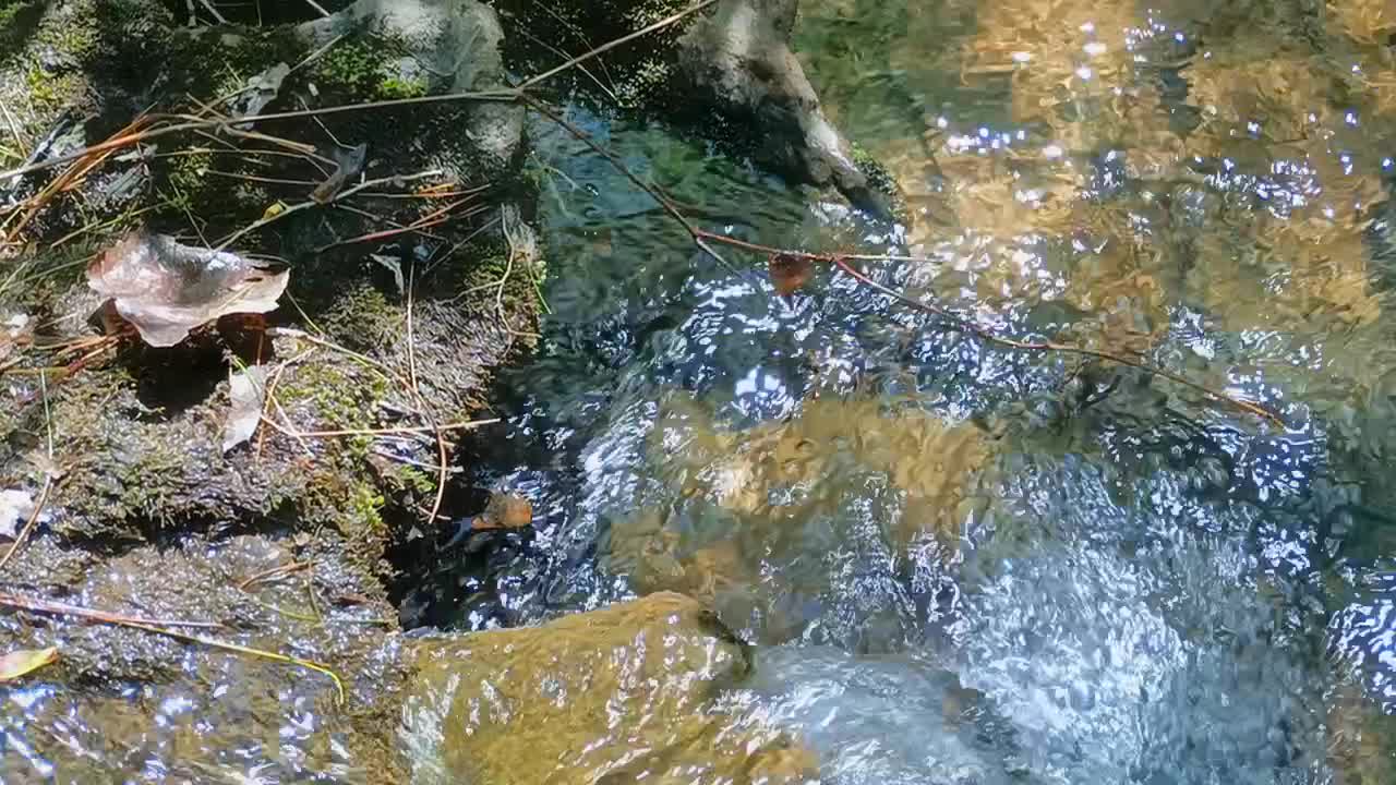 Getting Water From The Small Creek