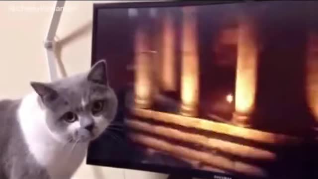 DAD,WATCH OUT!!