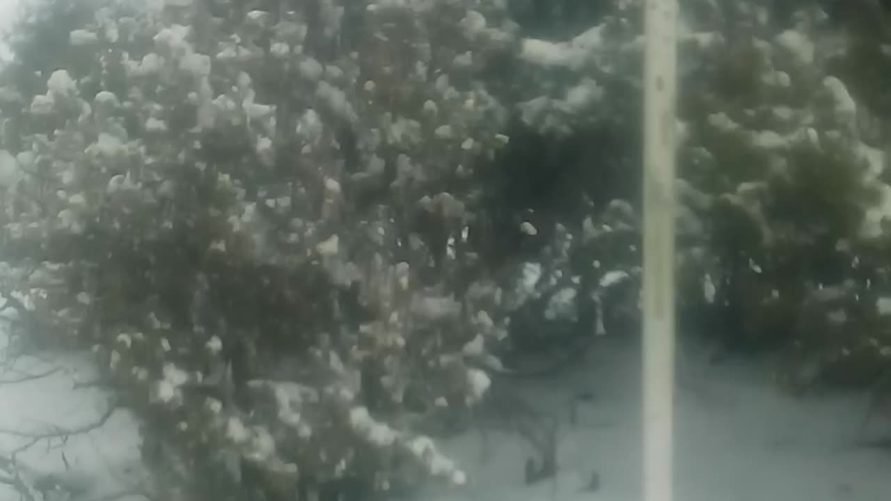 February/4/2024. Video 1