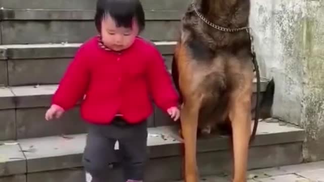 Dog anjing penjaga anak kecil