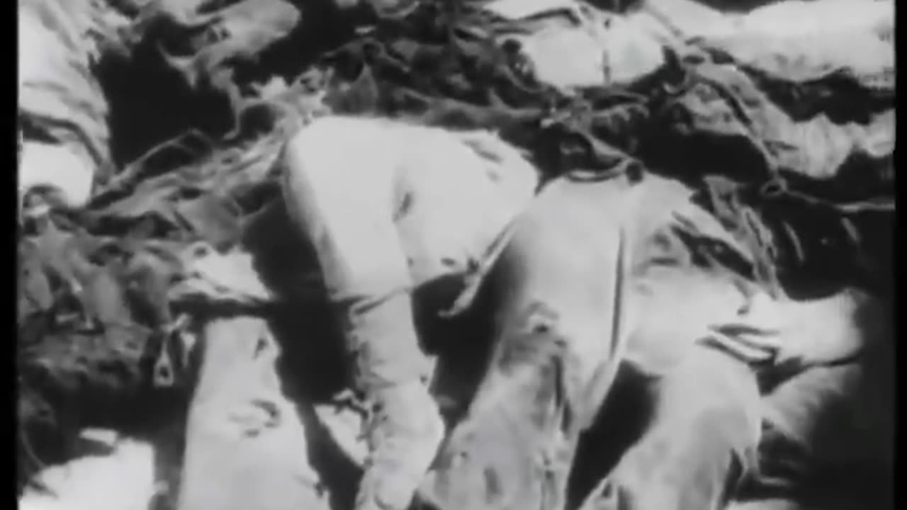 The Dresden Inferno - An Allied War Crime - Justice for Germans