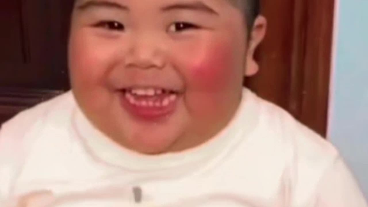 Funny videos