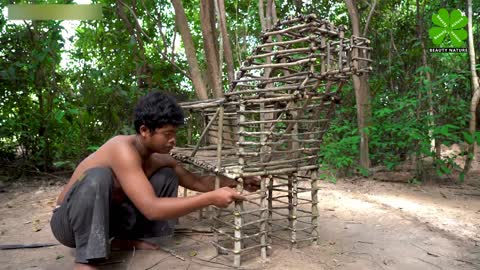 Build dog house for puppies