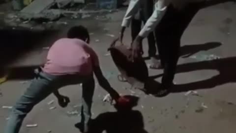 INDIAN TALLENT