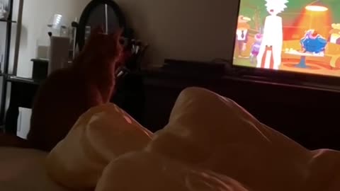 rickand morty videos