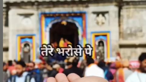 WhatsApp status