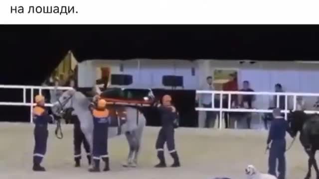 idiots