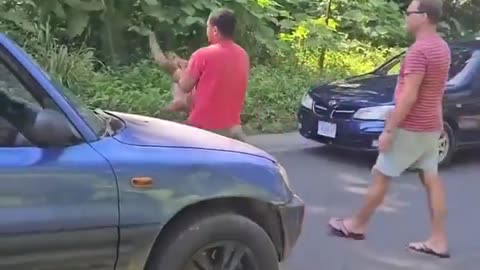 Helping a sloth across a road