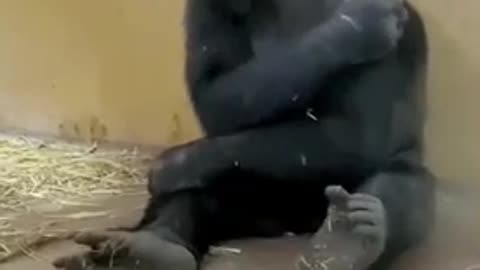 😆