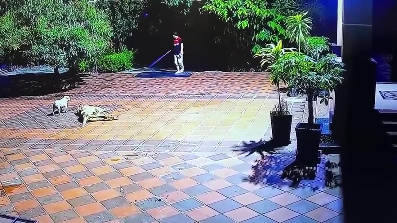 55 Incredible Moments Caught on CCTV Camera