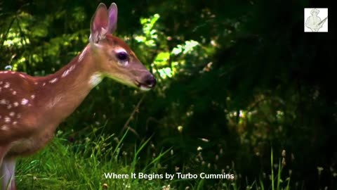 Where It Begins by Turbo Cummins