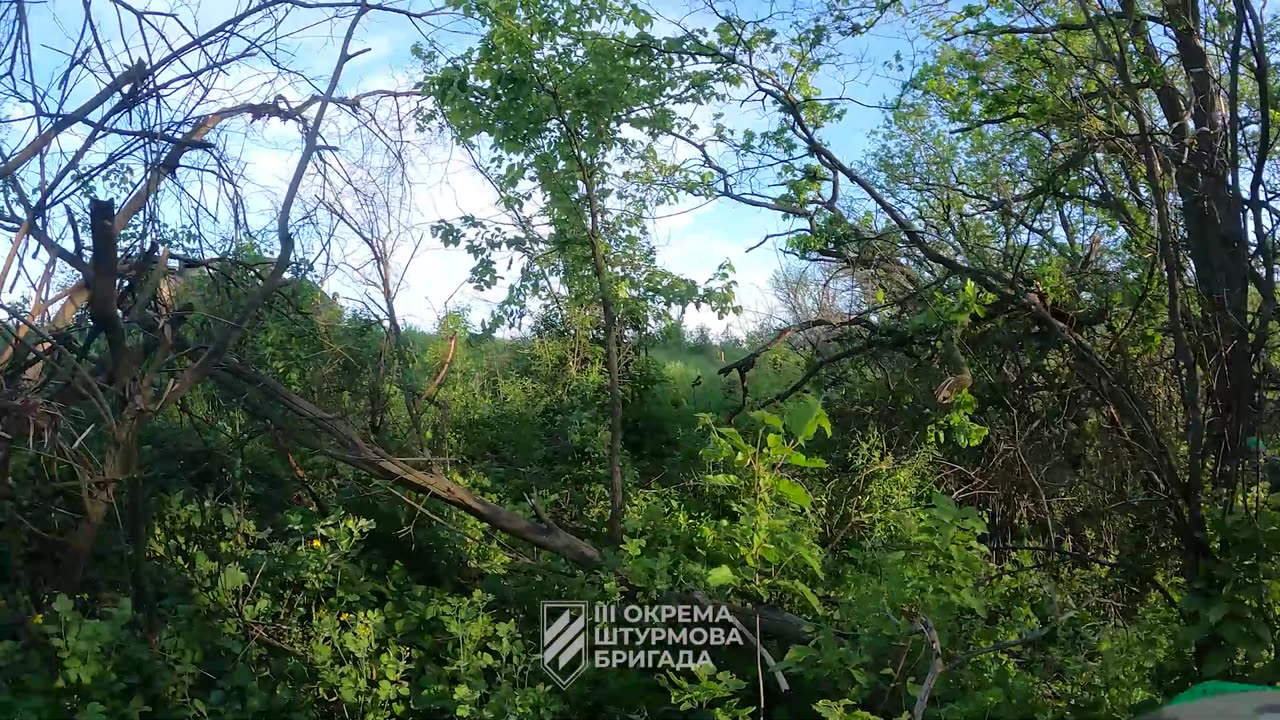 Intense Firefight as Ukrainians Enter Occupied Forest Strip