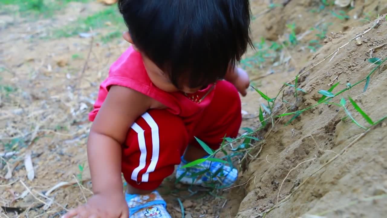 Wild Women - baby boy find pick Strawberry​ with mother by river - cooking food for dog-5