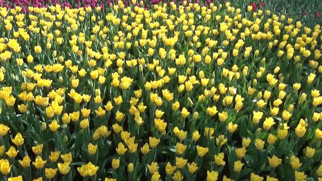 Crush the tenderness into the cracks of life