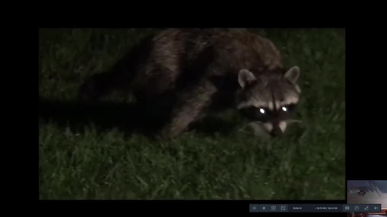 COON fishing-chicken bones