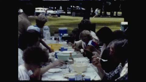 V005 Vigesaa Picnic 1979