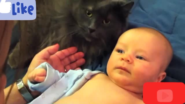 Cats Meeting Babies Compilation Part 02