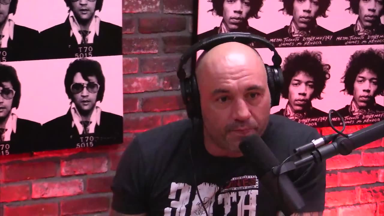 Joe Rogan Experience #729 - Jocko Willink