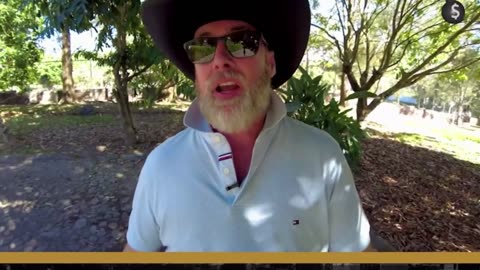 The $ is about to collapse