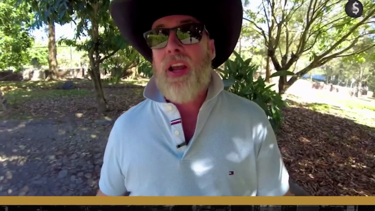 The $ is about to collapse