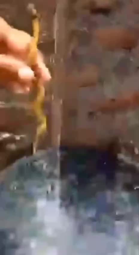 Viktor Schauberger - look him up