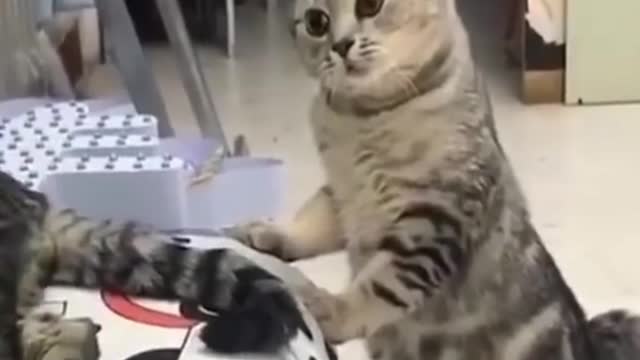 Mister!!!... look at me in my eyes when I talk to you