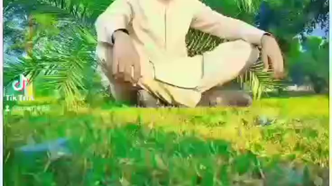 Malik Badshah